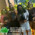 Dia Mundial do Meio Ambiente