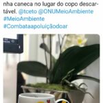 Dia Mundial do Meio Ambiente
